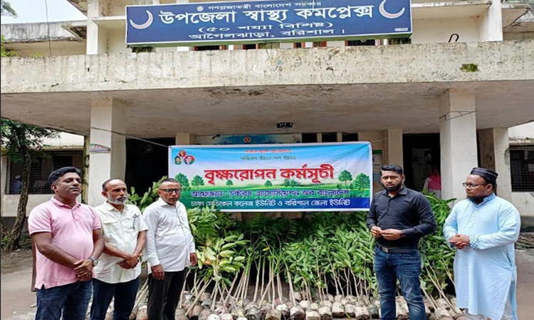 ড্যাব এর উদ্যোগে বৃক্ষরোপণ কর্মসূচি পালন
