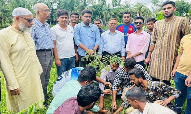 ছাত্রদলের উদ্যোগে সারাদেশে বৃক্ষরোপণ কর্মসূচি পালিত