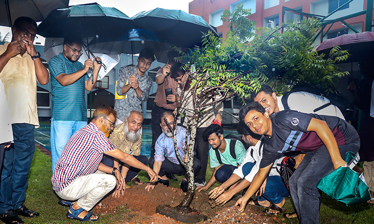 সিভাসুতে মাসব্যাপী বৃক্ষরোপণ কর্মসূচির উদ্বোধন