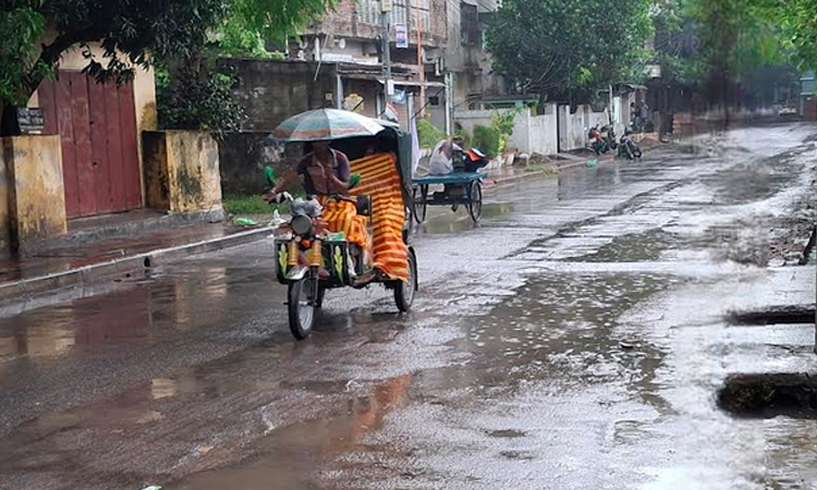 রাজশাহীতে আষাঢ়ের বৃষ্টিতে আম চাষিদের ব্যাপক উপকার 