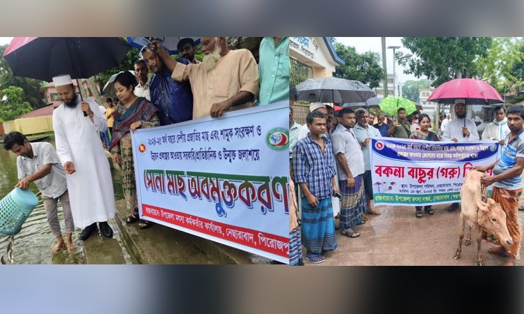 পিরোজপুরে জেলেদের মাঝে বকনা বাছুর  বিতরণ ও উন্মুক্ত জলাশয়ে পোনা মাছ অবমুক্তকরণ