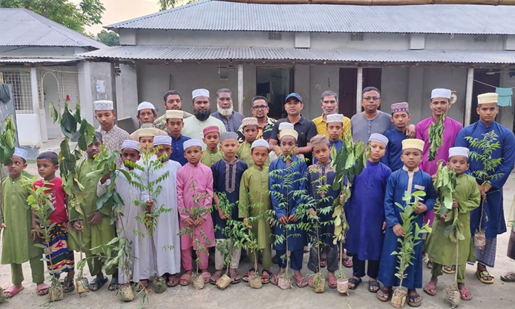 জুবাইদা রহমানের জন্মদিন উপলক্ষে বৃক্ষরোপণ