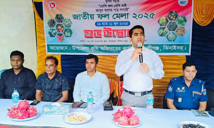 কালীগঞ্জে তিন দিনব্যাপী জাতীয় ফল মেলা শুরু
