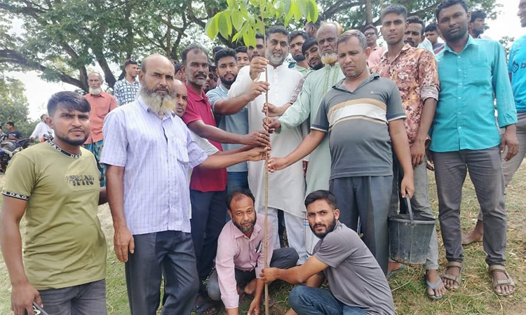 জুবাইদা রহমানের জন্মদিন উপলক্ষ্যে বৃক্ষরোপণ কর্মসূচি পালন