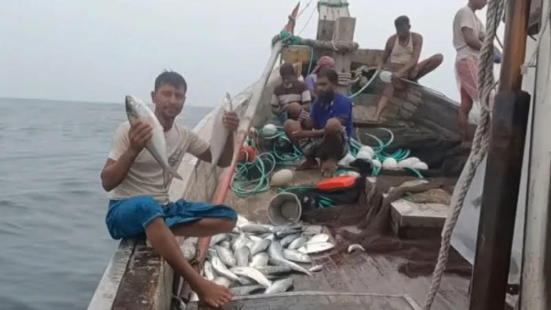 ভোলার নদনদীতে কাঙ্ক্ষিত ইলিশ না পেলেও মিলছে সাগরে, খুশি জেলের