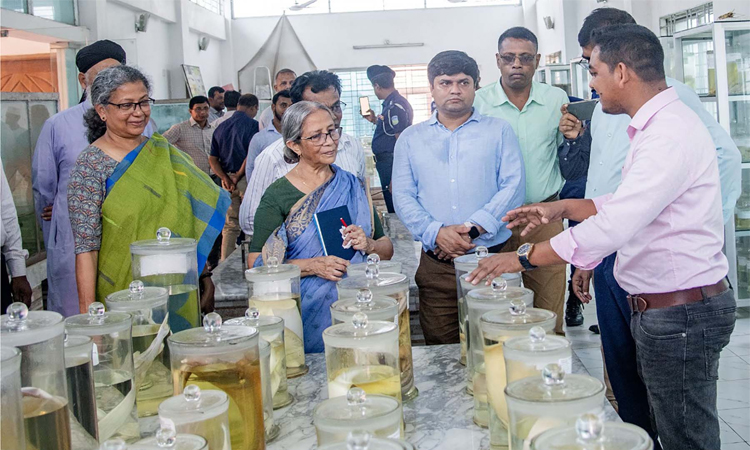 নিরাপদ খাদ্য উৎপাদন জরুরি: মৎস্য ও প্রাণিসম্পদ উপদেষ্টা