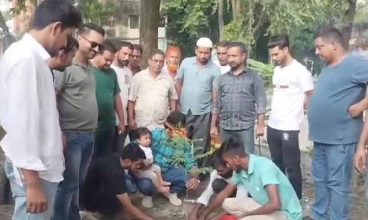 সারাদেশে বিএনপি ও অঙ্গ-সংগঠনের নেতা-কর্মীদের বৃক্ষরোপণ 