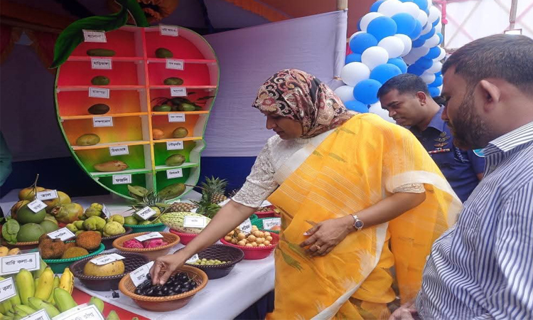 কিশোরগঞ্জে তিনদিন ব্যাপী ফল মেলা শুরু