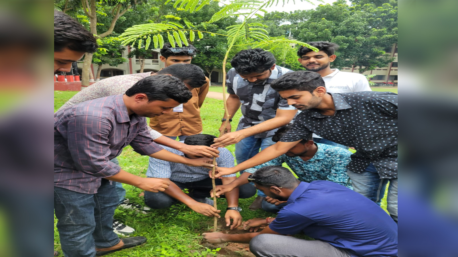 ঝিনাইদহে ছাত্রদলের বৃক্ষরোপণ কর্মসূচি