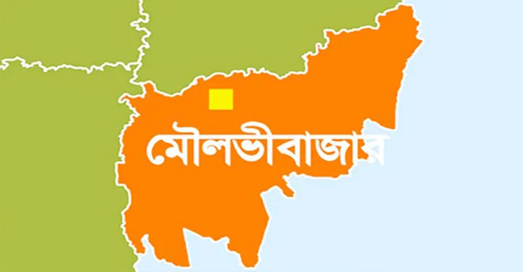 মৌলভীবাজারে ২৫ জনকে পুশইন করেছে বিএসএফ