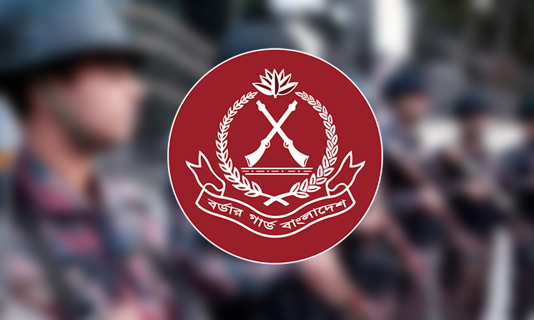 সুনামগঞ্জ সীমান্ত থেকে ভারতীয় সামগ্রী জব্দ