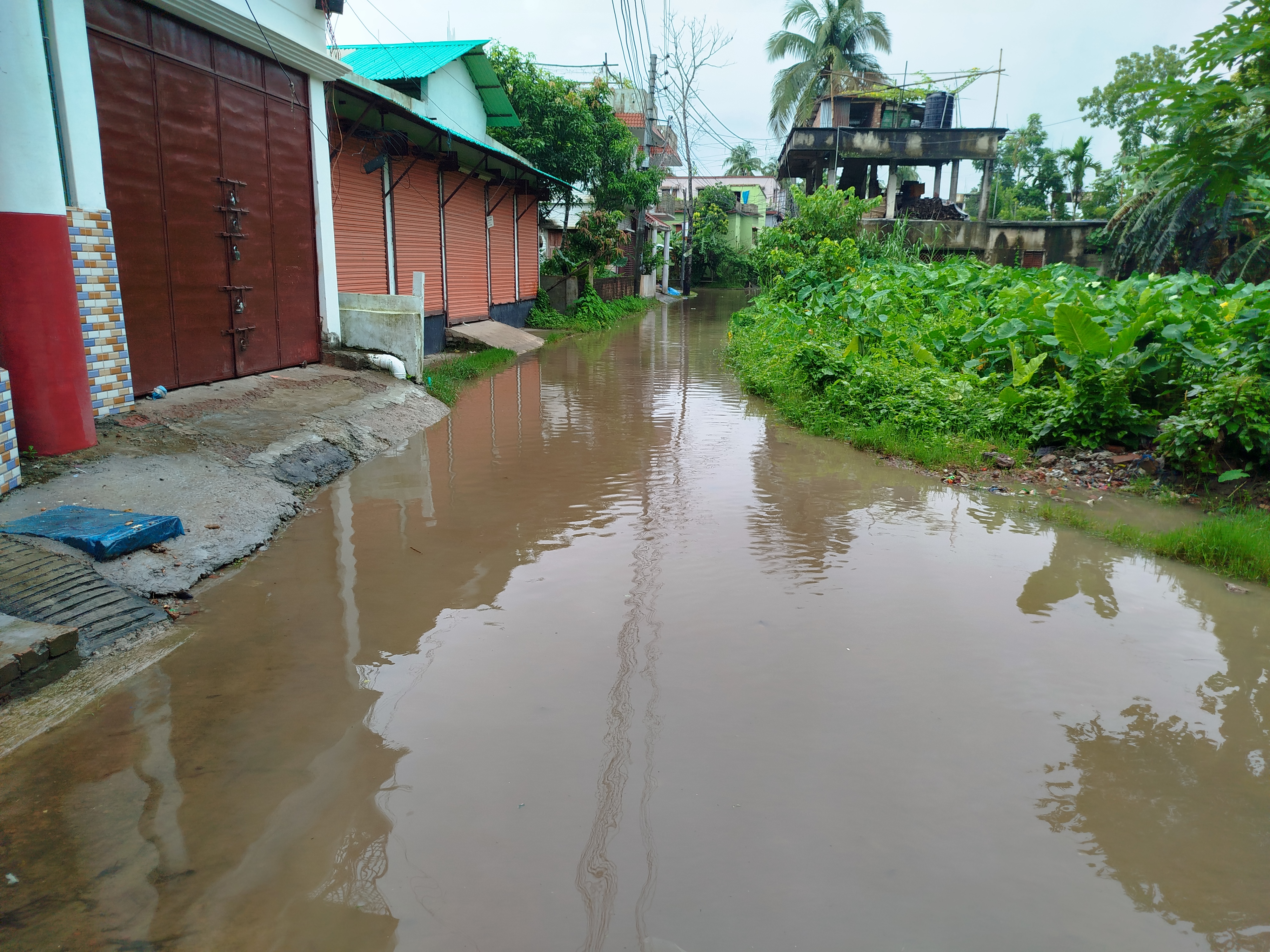 নড়াইল পৌরবাসীর দুর্ভোগ কমাতে নিষ্কাশন ব্যবস্থার সংস্কার জরুরি 