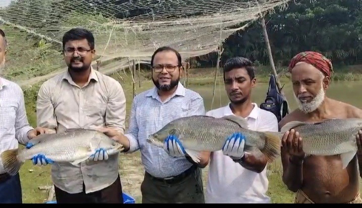 কোরাল মাছ গবেষণায় সাফল্য : উপকূলে সম্ভাবনার দুয়ার খুলেছে পবিপ্রবি