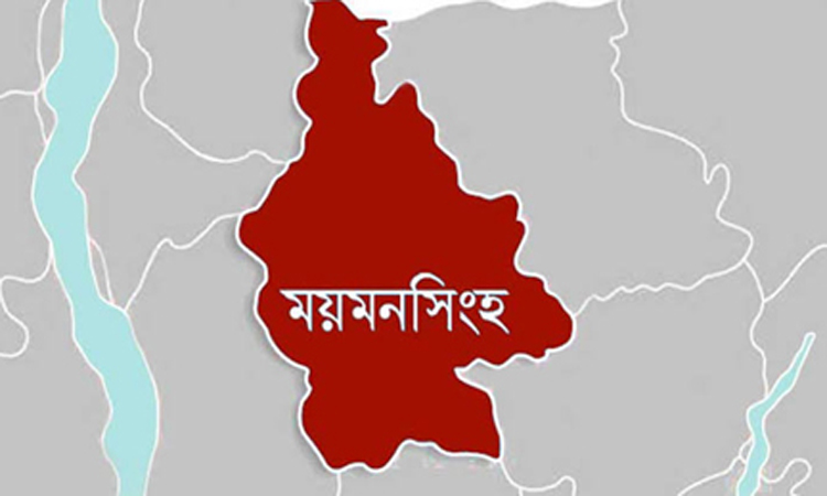 ময়মনসিংহ বিভাগীয় শিশুশ্রম কল্যাণ পরিষদের ১০ম সভা অনুষ্ঠিত