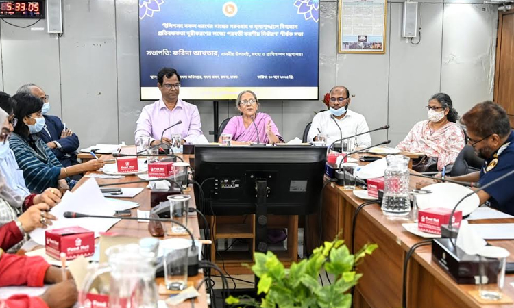 ইলিশের দাম অস্বাভাবিকভাবে বাড়ানো যাবে না: মৎস্য উপদেষ্টা