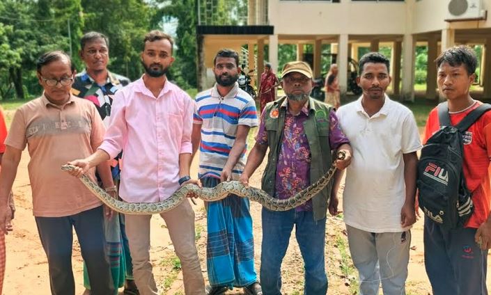 শেরপুরে উদ্ধারকৃত পাইথন বনে অবমুক্ত 