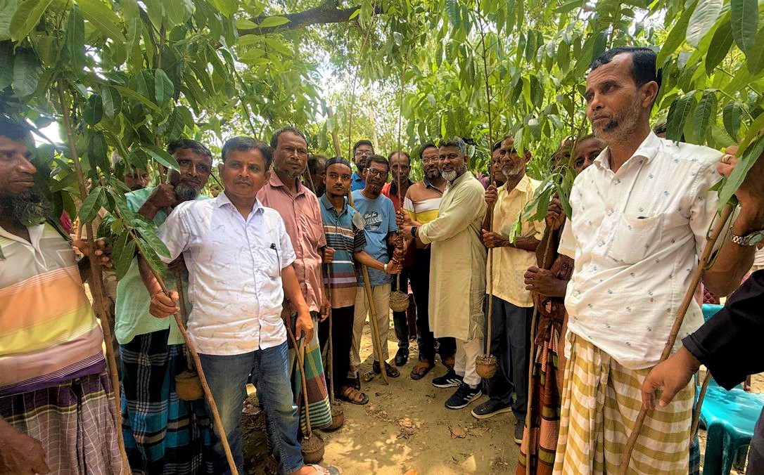 নওগাঁয় শহীদ রাষ্ট্রপতি জিয়াউর রহমানের শাহাদৎ বার্ষিকী উপলক্ষে বৃক্ষরোপণ