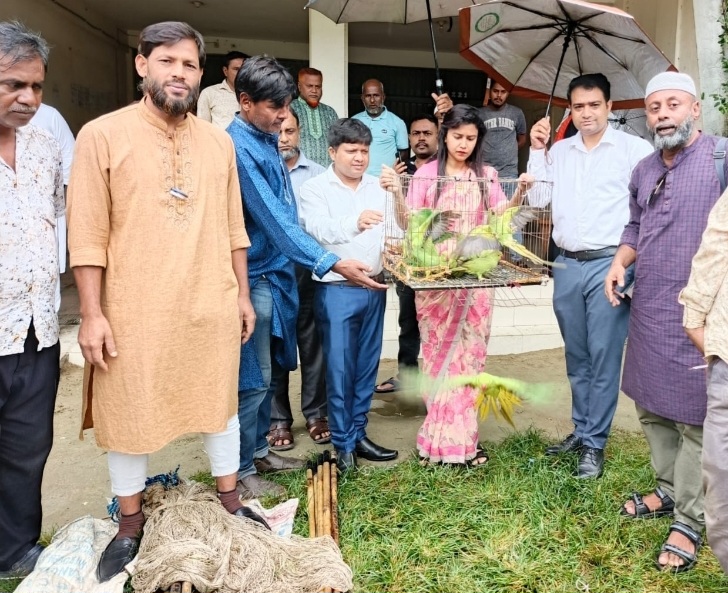 অর্ধশতাধিক টিয়াপাখি অবমুক্ত, পাখি শিকারের ফাঁদ পুড়িয়ে ধ্বংস