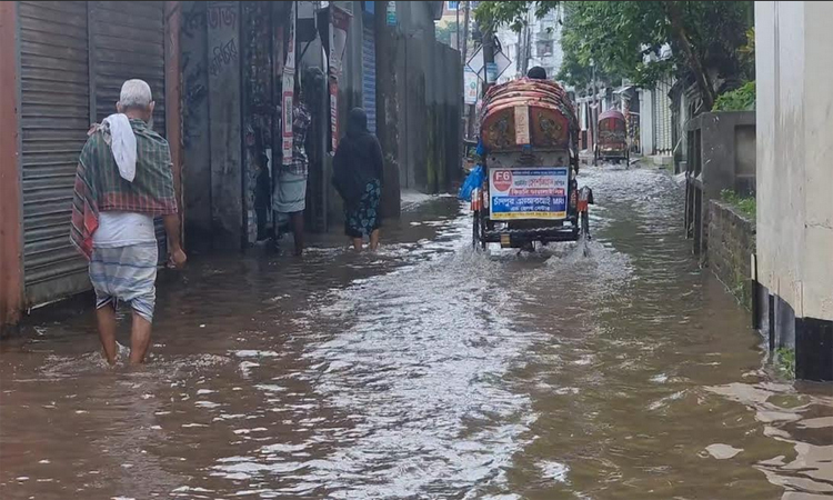 চাঁদপুরে ৪৮ ঘণ্টার বৃষ্টিতে জলাবদ্ধতা : জনদুর্ভোগ চরমে