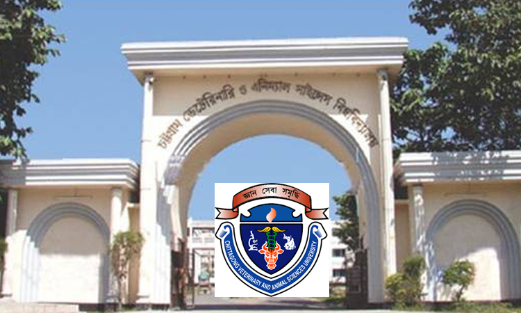 সিভাসুতে ‘আন্তর্জাতিক পরিবেশ নীতি, সবুজ শিক্ষা, নেতৃত্ব ও যোগাযোগ প্রশিক্ষণ’ অনুষ্ঠিত