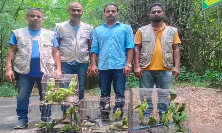 বোটানিক্যাল গার্ডেনে ৬৯ পাখি ও ২ কচ্ছপ অবমুক্ত 
