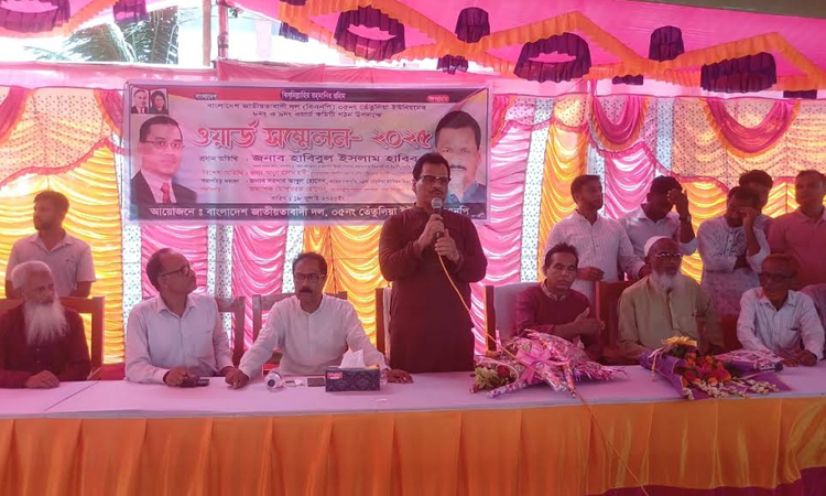 তারেক রহমানের ৩১ দফার আলোকে বাংলাদেশ বিনির্মাণের আহ্বান জানালেন হাবিব