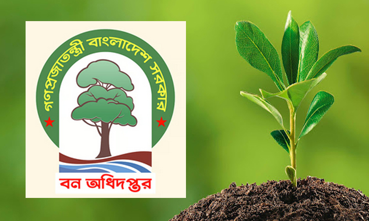 জুলাই শহিদদের স্মরণে সারাদেশে ‘এক শহিদ এক বৃক্ষ’ রোপণ কর্মসূচি অনুষ্ঠিত