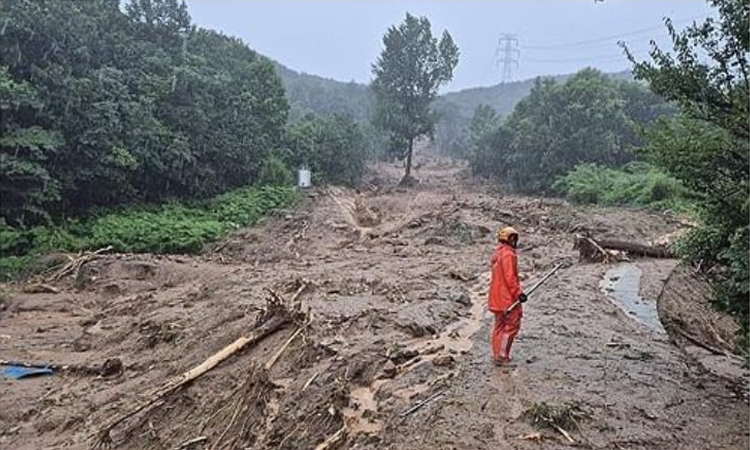 দক্ষিণ কোরিয়ায় প্রবল বর্ষণে প্রাণহানি বেড়ে ১১ 