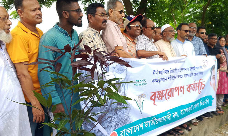 জুলাই অভ্যুত্থানে ৯ শহীদের স্মরণে ৯ টি আমের চার রোপণ