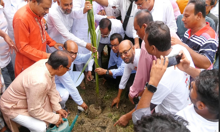 ঝিনাইদহে জুলাই শহীদদের স্মরণে কৃষকদলের বৃক্ষরোপণ