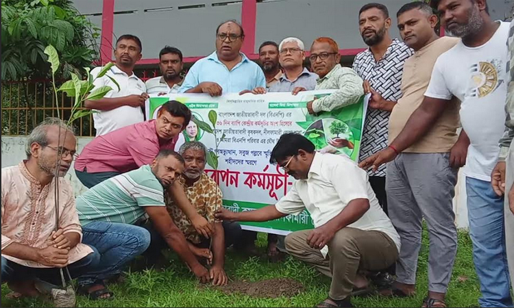 নীলফামারীতে গণঅভ্যুত্থানে শহীদদের স্মরণে বৃক্ষরোপণ