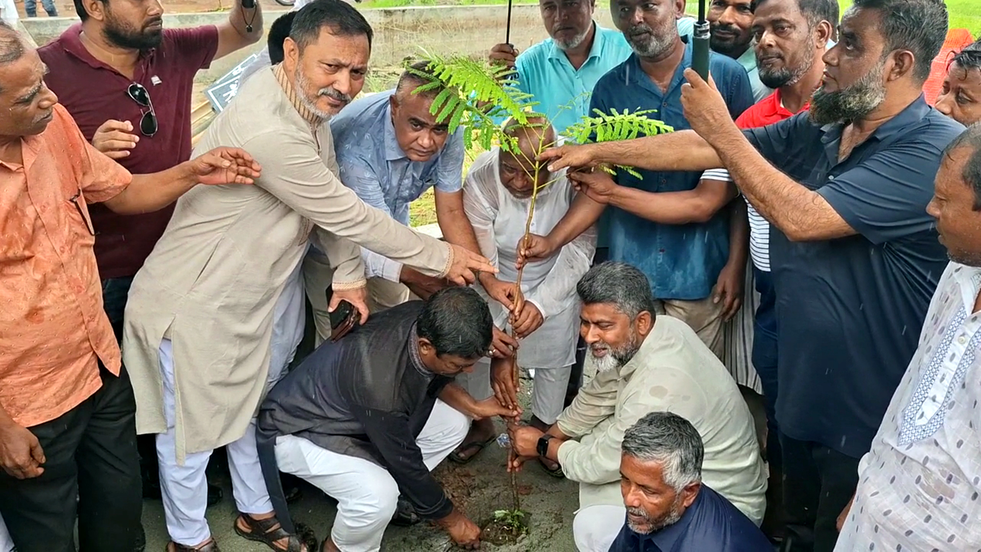 নওগাঁয় শহীদদের স্মরণে কৃষকদলের বৃক্ষরোপণ 