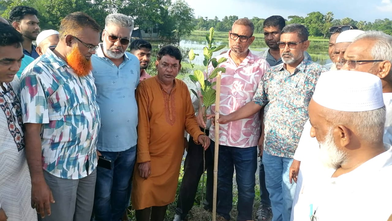ফেনীতে গণঅভ্যুত্থানে শহীদদের স্মরণে বিএনপি’র বৃক্ষরোপণ 