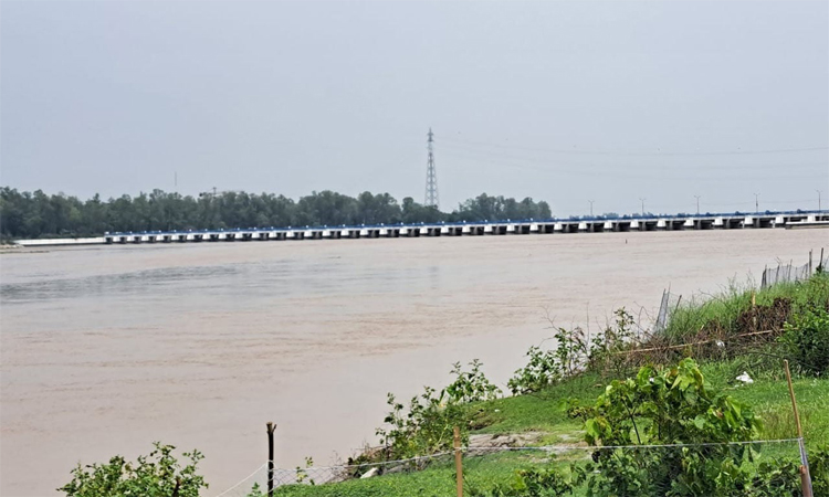 তিস্তায় পানি বাড়ায় উৎকণ্ঠায় নদীপারের মানুষ