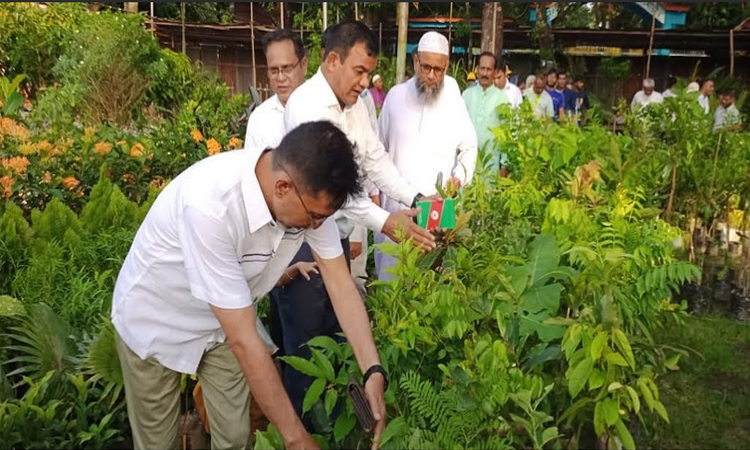 নীলফামারীতে ১৫ দিনব্যাপী বৃক্ষমেলা শুরু