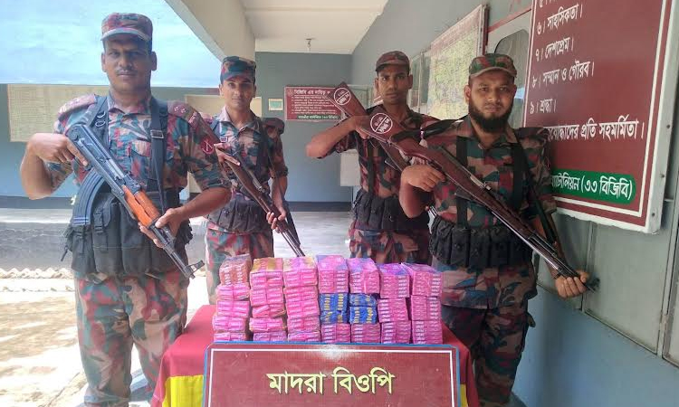 সাতক্ষীরা সীমান্তে চোরাচালান পণ্য জব্দ