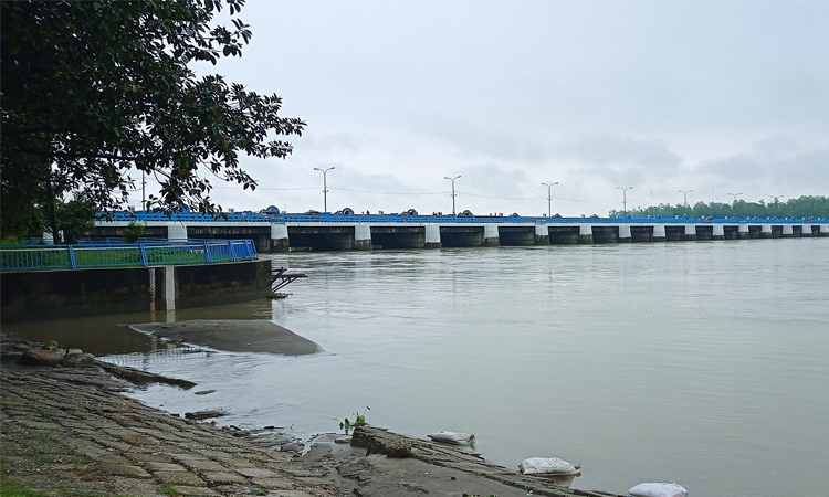 নীলফামারীতে বিপৎসীমা বরাবর বইছে তিস্তার পানি