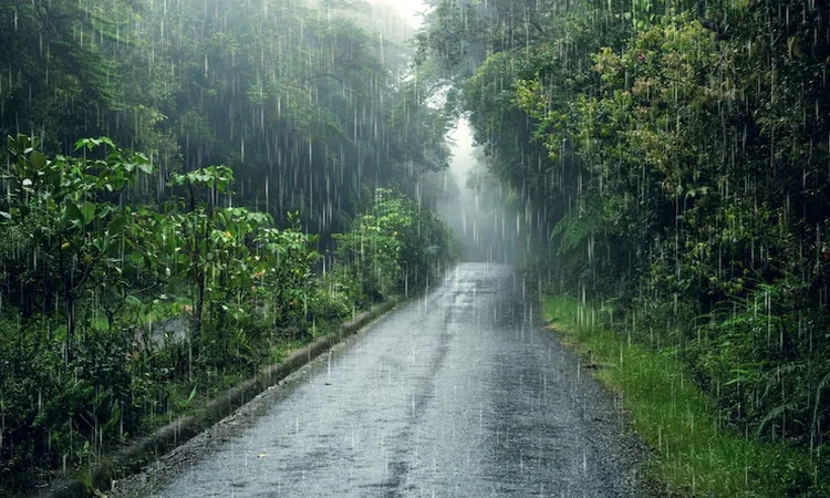 দেশের বিভিন্ন স্থানে বৃষ্টির সম্ভাবনা