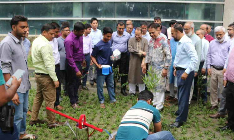 জুলাই গণ-অভ্যুত্থান দিবস উপলক্ষে সড়ক বিভাগের বৃক্ষরোপণ ও বিশেষ দোয়া মাহফিল
