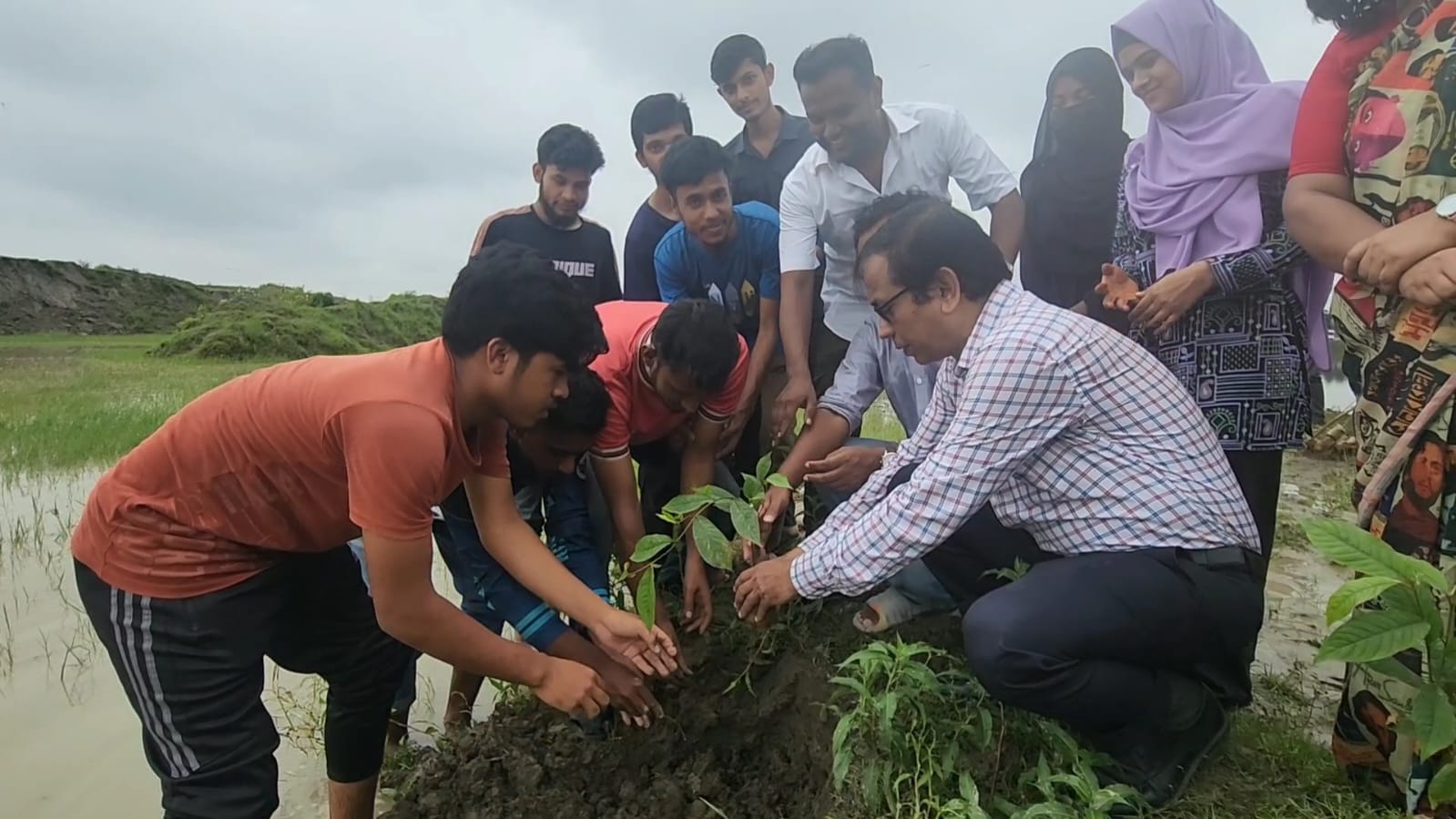 নেত্রকোণা বিশ্ববিদ্যালয়ে দেশীয় প্রজাতির গাছের চারা রোপণ