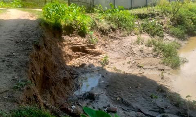 চেঙ্গী নদীর ভাঙনে ঝুঁকিপূর্ণ গাঙকুল সড়ক রক্ষায় প্রশাসনের উদ্যোগ চান এলাকাবাসী