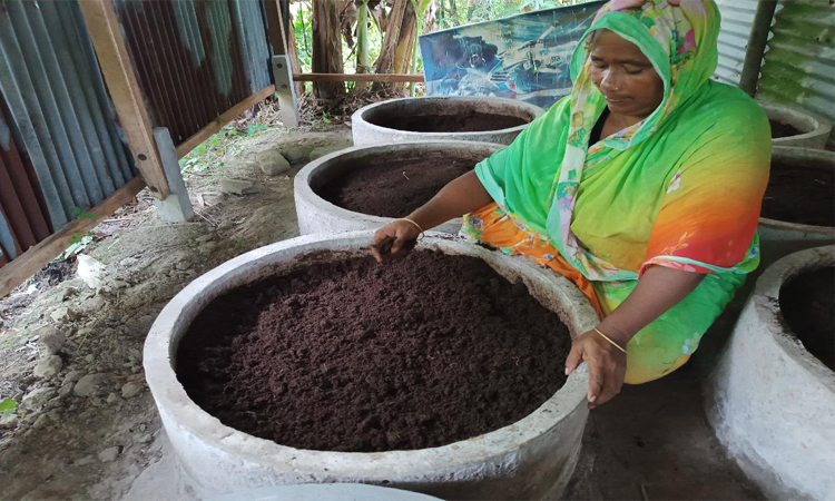 কেঁচো সার উৎপাদন করে স্বাবলম্বী মাদারীপুরের রাশিদা