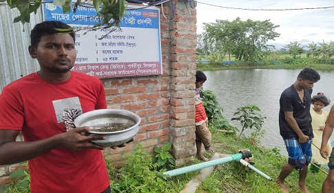 দিনাজপুরের মৎস্য খামারিদের ভাগ্য বদলে দিচ্ছে দেশি টেংরার চাষ