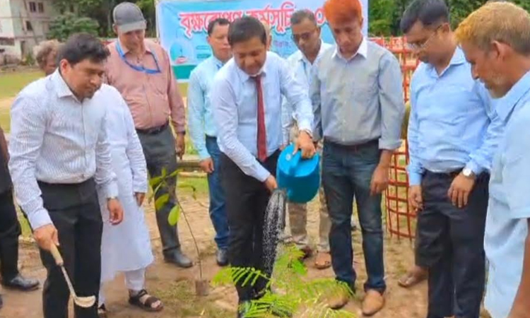 রাঙ্গামাটিতে পৌরসভার উদ্যোগে বৃক্ষরোপণ কর্মসূচি 