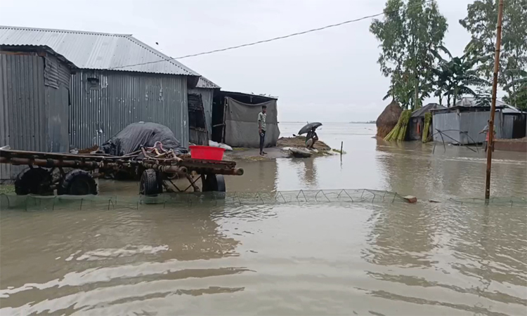 তিস্তার পানি বিপৎসীমার ওপরে, তলিয়ে যাচ্ছে বিস্তীর্ণ এলাকা