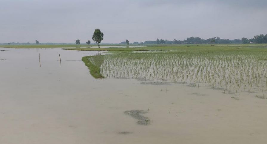 লালমনিরহাটে তিস্তার পানি কমায় দৃশ্যমান হচ্ছে বন্যার ভয়াবহতা, এখন ভাঙ্গনের আতঙ্ক 
