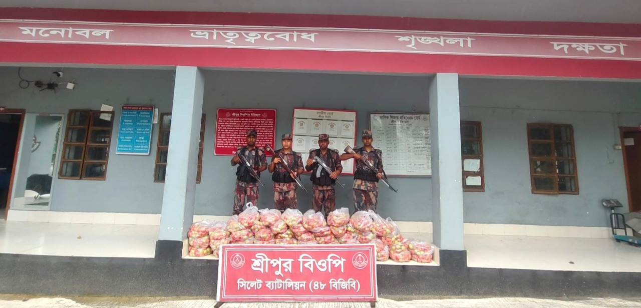 সিলেটে সাড়ে ১২ হাজার ঘনফুট পাথর জব্দ