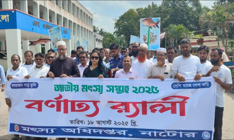নাটোরে বছরে উদ্বৃত্ত ৩৯ হাজার টন মাছ