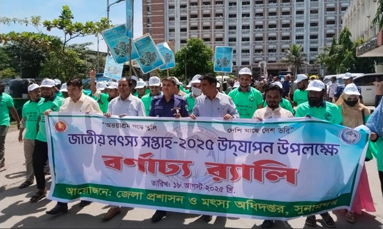 সুনামগঞ্জে জাতীয় মৎস্য সপ্তাহ উপলক্ষে র‌্যালি ও আলোচনা সভা