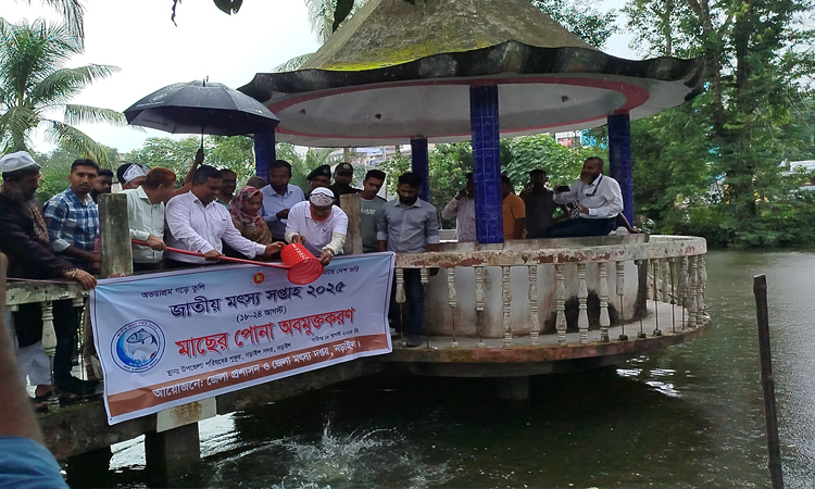 নড়াইলে বছরে উদ্বৃত্ত দুইহাজার মেট্রিক টন মাছ